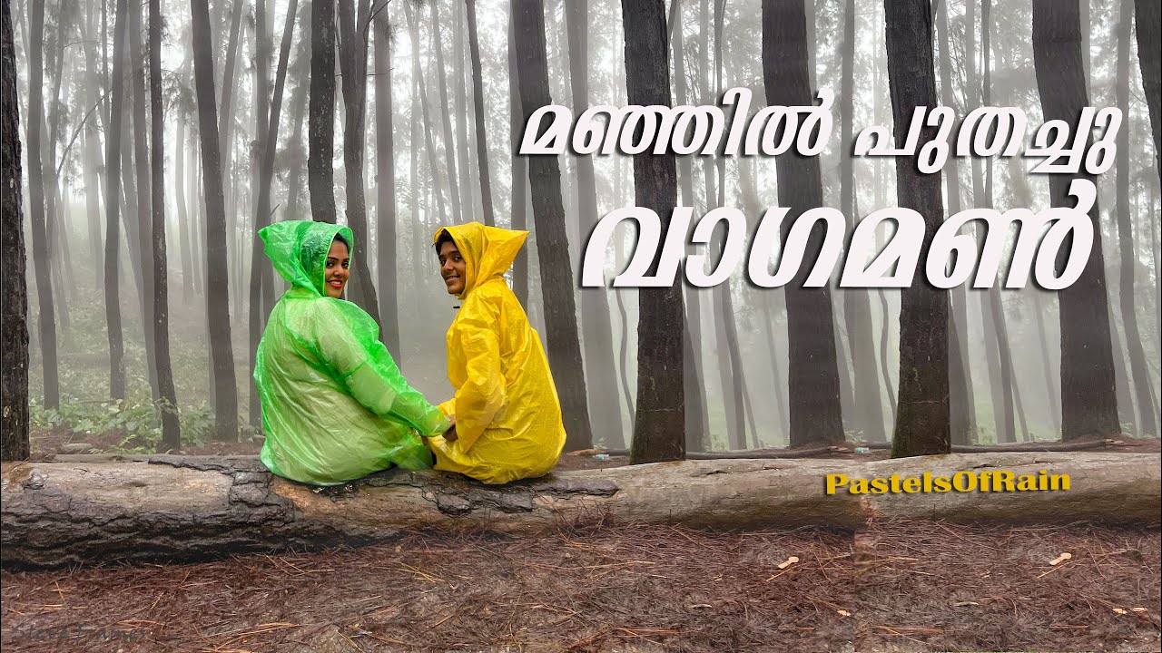 Places to explore in Vagamon ~ Pine Forest, Meadows, Glass Bridge, Tea Plantations
