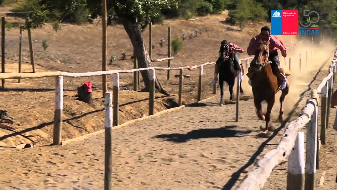Turismo Rural: Región del Maule