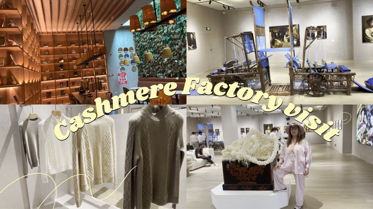 visiting cashmere factory | china factory visit 