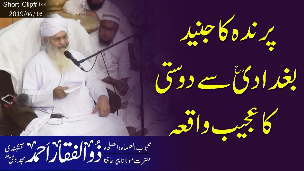 پرندہ کا جنید بغدادی سے دوستی کا عجیب واقعہ | حضرت مولانا حافظ پیر ذوالفقار احمد نقشبندی مجددی