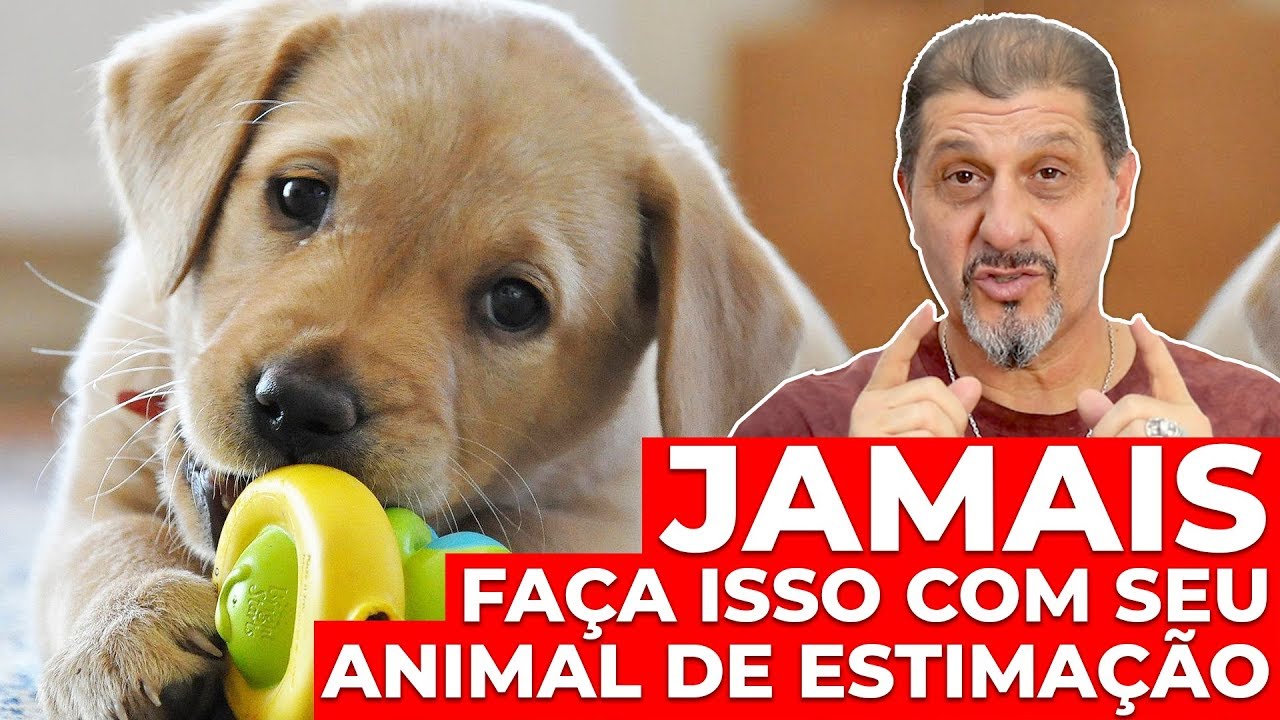 Jamais faça isso com seu Animal de Estimação! | Xamanismo em Você #180