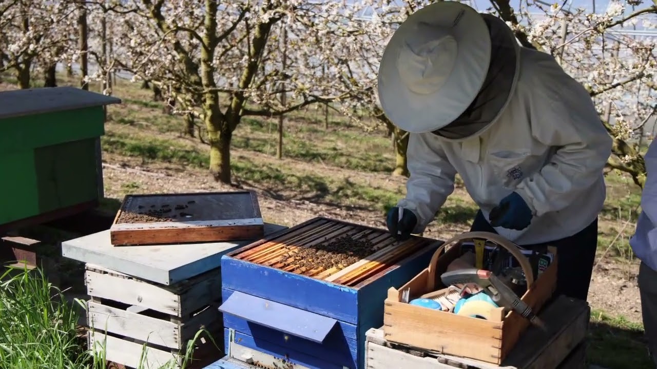 Atelier apiculture d&eacute;but 2025
