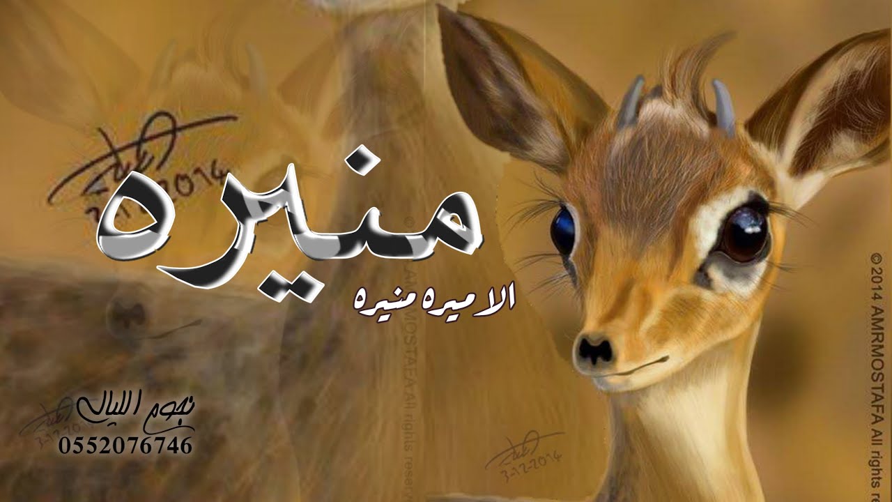 شيلة باسم منيره 2022 يامنيره انتي اميره || مدح باسم منيره