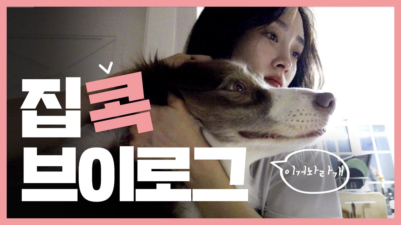 SUB)니콜 Vlog l 집콕하며 보내는 하루 일상! 치킨수프 + 유튜브 번역하기