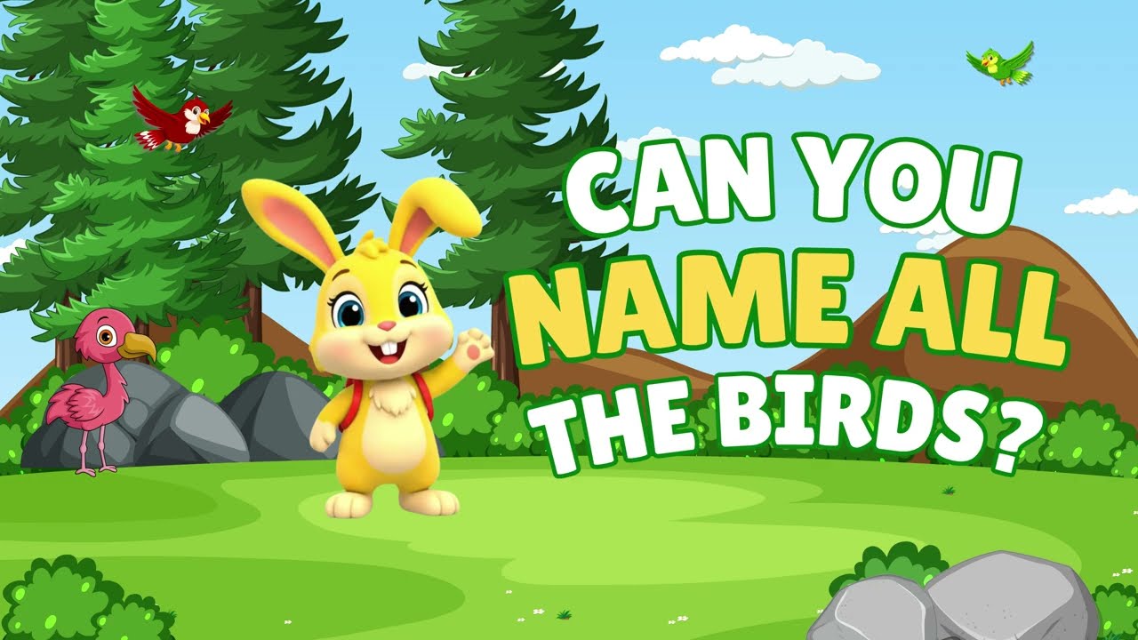Name the Birds: Do you know the name of all 36 birds?