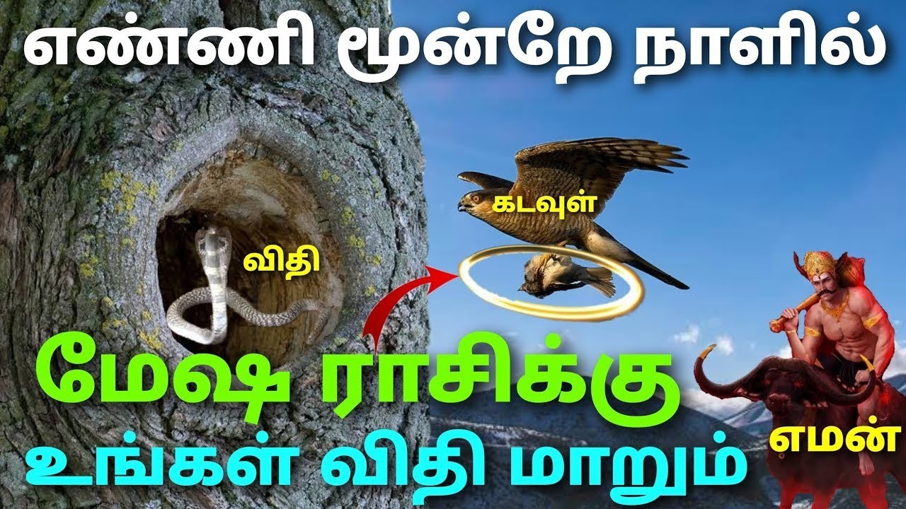 மேஷ ராசி இந்த வார பலன் this week mesha rasi horoscope in tamil intha vara rasi palan in tamil mesham