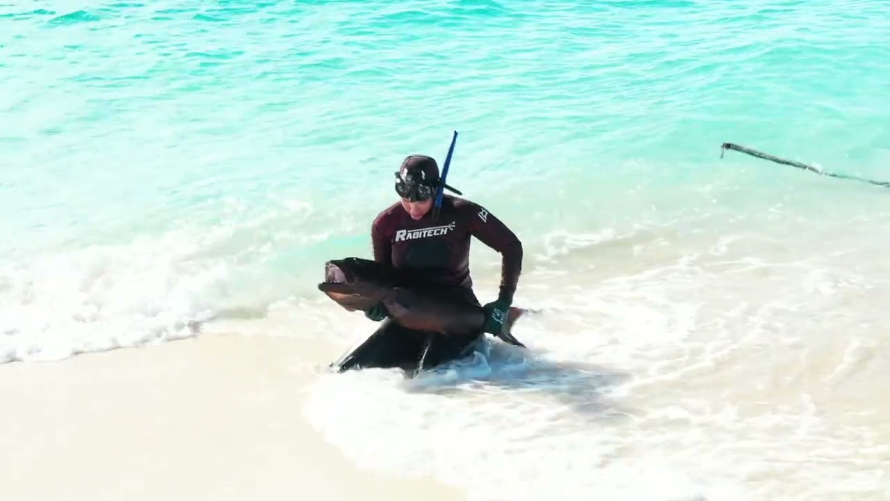Chilli Beach Part 2 - Sand cays, spearfishing and turtles.