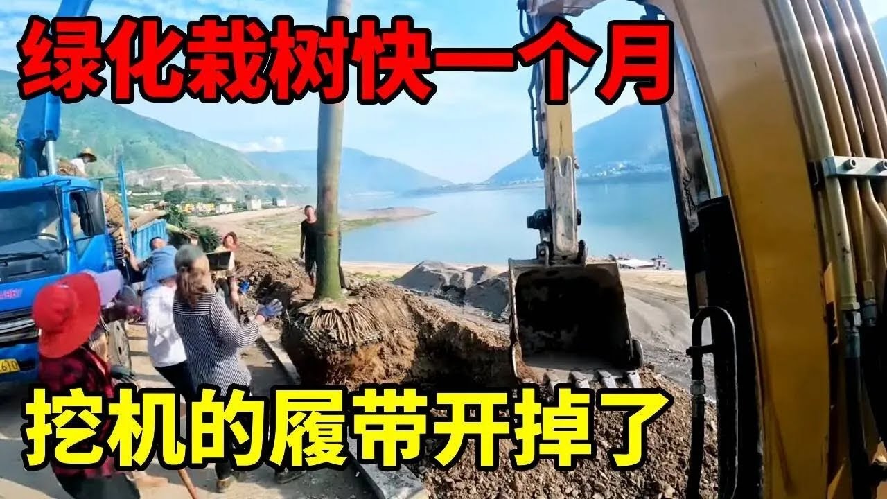 干了快一个月了，绿化栽树，把工地上挖机的履带开掉了！#谢挖挖 #绿化 #栽树 #工地 #挖掘機