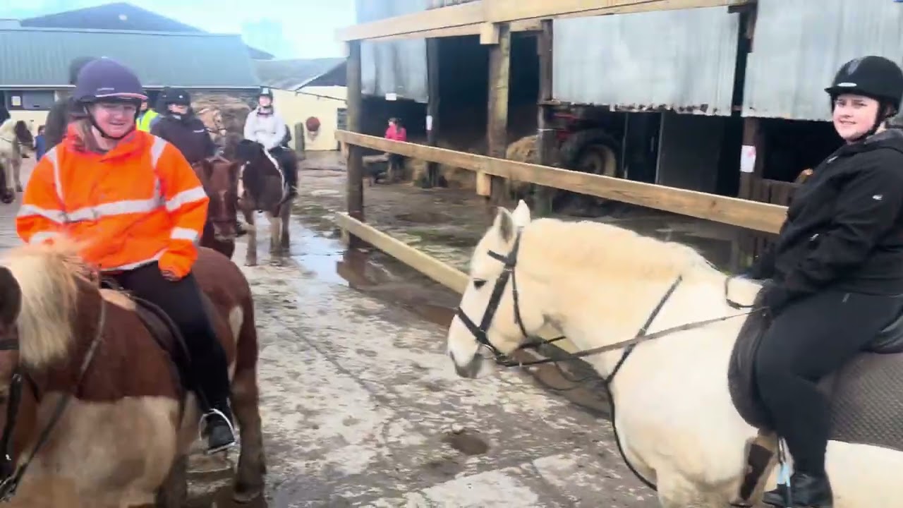 I almost fell of trotting I had to stop the ride 