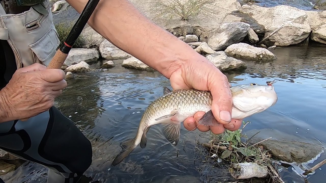 TENKARA FLY FISHING: Tecnica di Pesca a Mosca con Canna in Bamboo [PESCARE TECNICA TENKARA]