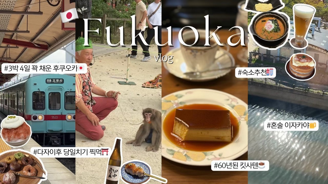 나홀로 후쿠오카🇯🇵 3박 4일 꽉 채운 1.5배속 브이로그🤳ㅣ📍구글맵 정보ㅣ60년된 킷사텐☕️, 혼술 이자카야 추천, 다자이후 당일치기 찍먹, 칼디 재구매템, 사케 쇼핑