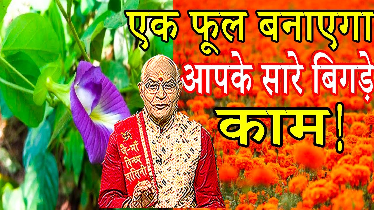 एक फूल बनाएगा आपके सारे बिगड़े काम ! | Pandit Suresh Pandey | Darshan24