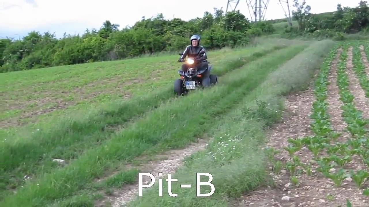Bashan Quad