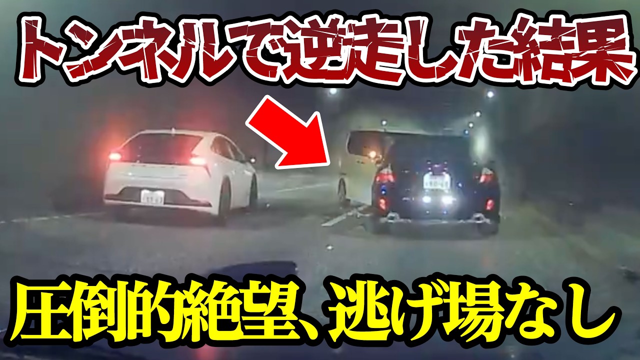 トンネルで逆走した結果、逃げ場がなく大破 【ドラレコ】交通安全チャンネル【154】