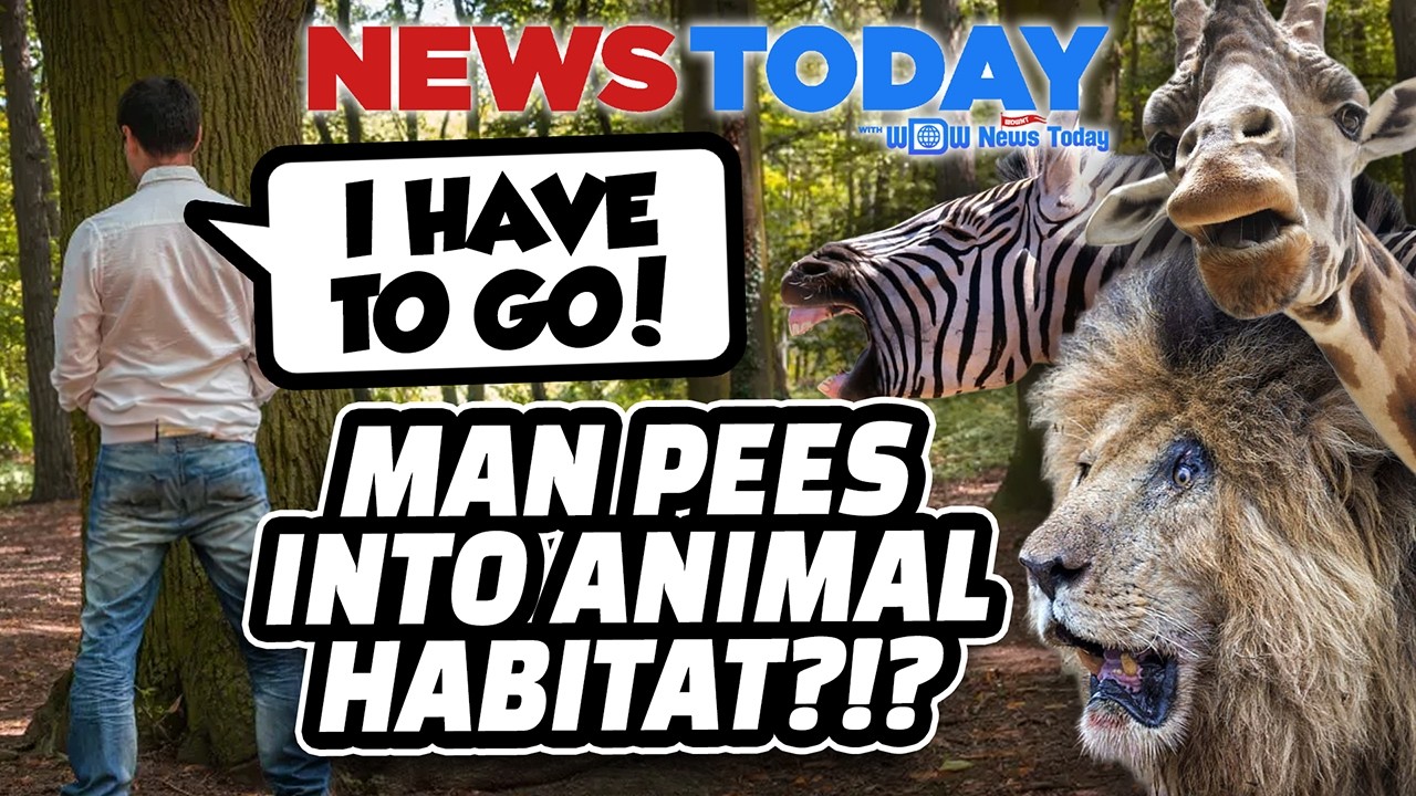 AP & DVC Previews for Soarin' Across America & Muppets Rock 'N' Roller Coaster, Man Pees on Safari