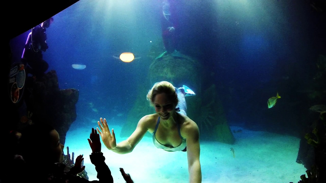 Mermaids in Manchester, the Sealife Sirens