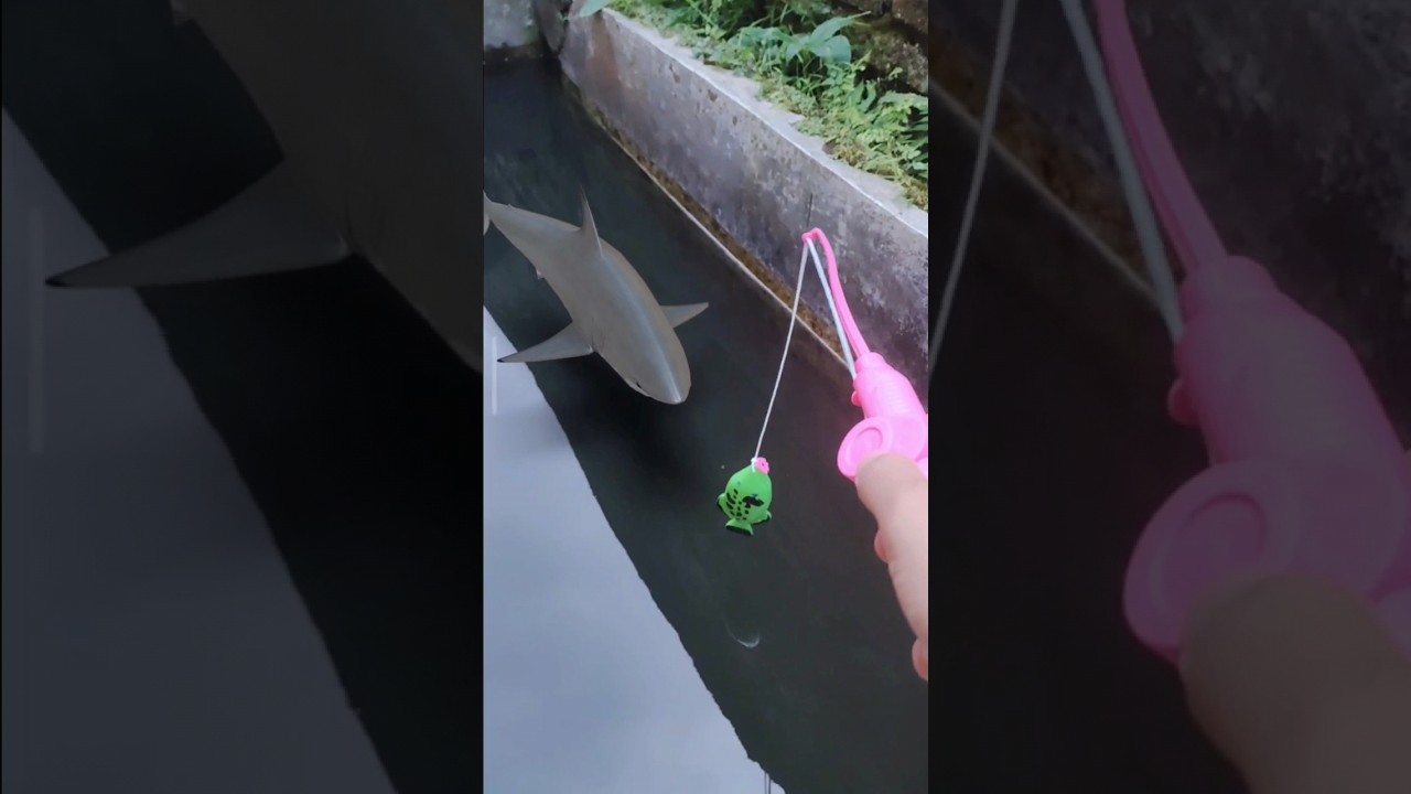 kita mancing ikan hiu guys, pasti seru!!