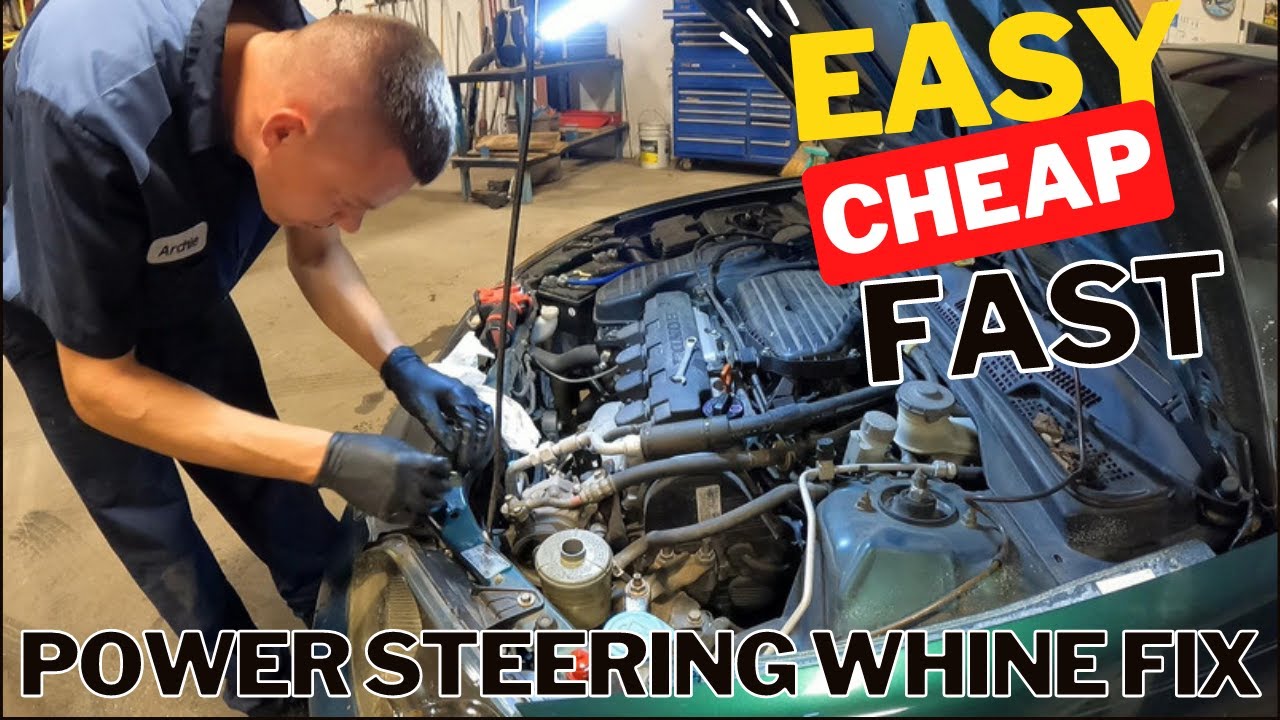 Honda Power Steering Whine Fix. EASY!