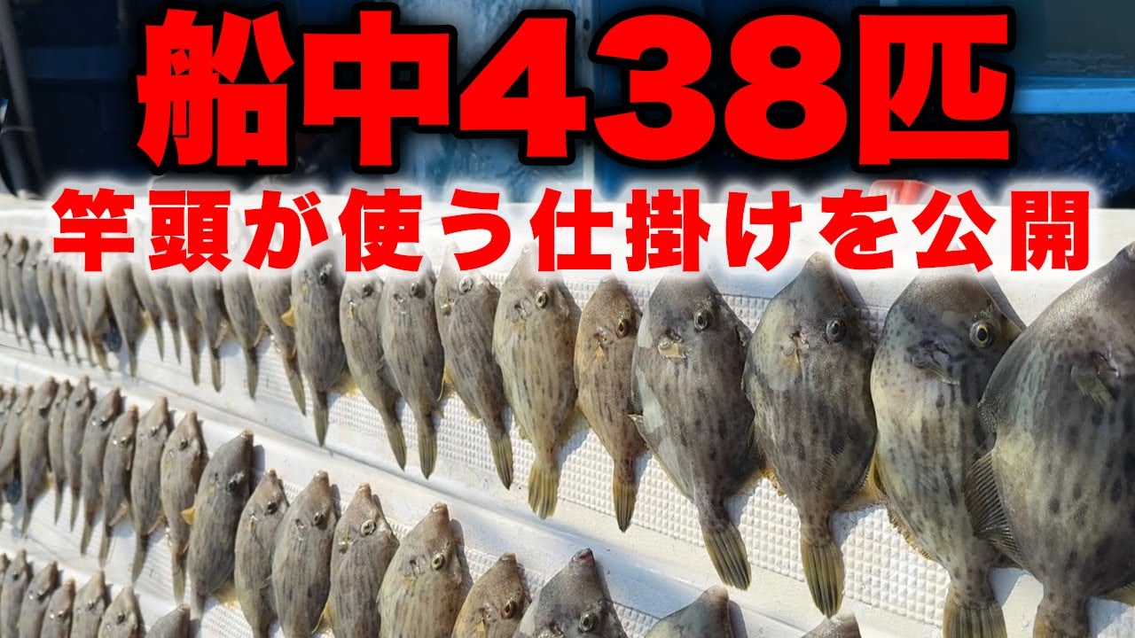 【驚愕】カワハギ釣り爆釣！船中438匹の大漁劇！竿頭の仕掛け＆釣り方を徹底解説【海蓮丸】🌟