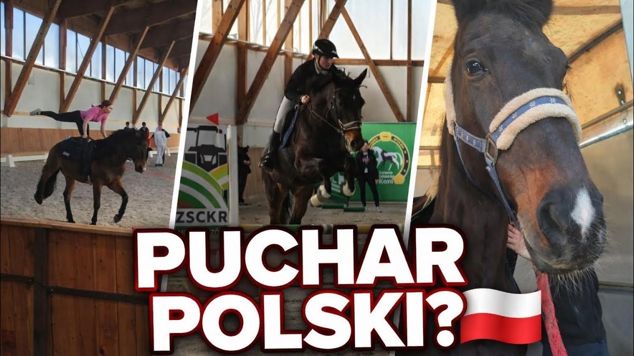 HALOWY PUCHAR POLSKI W SKOKACH PRZEZ PRZESZKODY I UJEŻDŻENIU MŁODZIEŻY SZKÓŁ ROLNICZYCH!🇵🇱🏆DZIEŃ 1-2