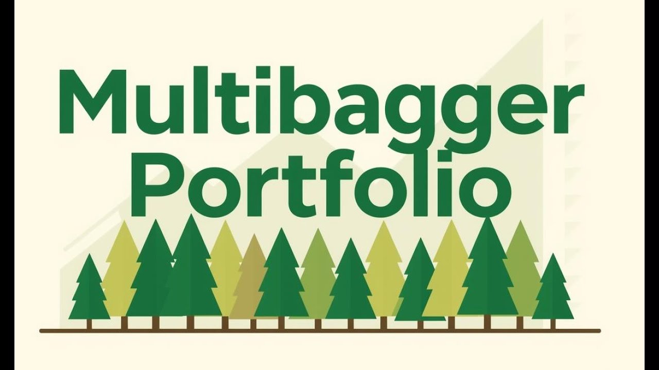 Multi-bagger portfolio strategy