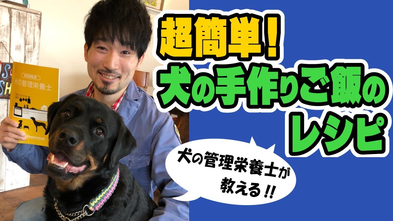 【超簡単！】犬の手作りご飯のレシピ【犬の管理栄養士監修】