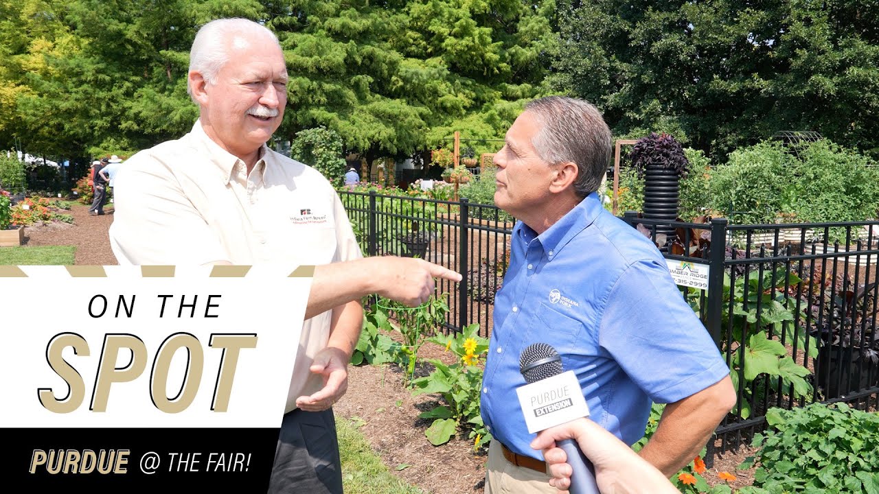 Favorite Foods at the Indiana State Fair  - On the Spot with Purdue Extension