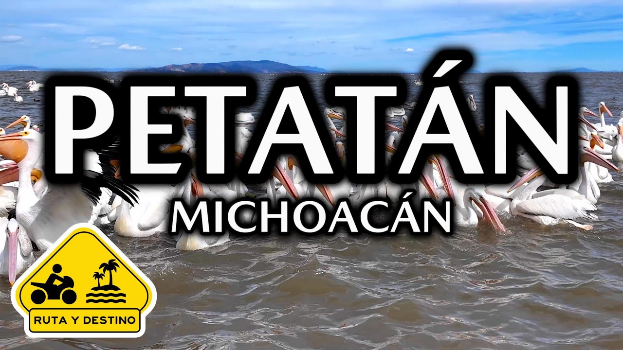 Petatán y los Pelícanos Borregones - Ruta y Destino