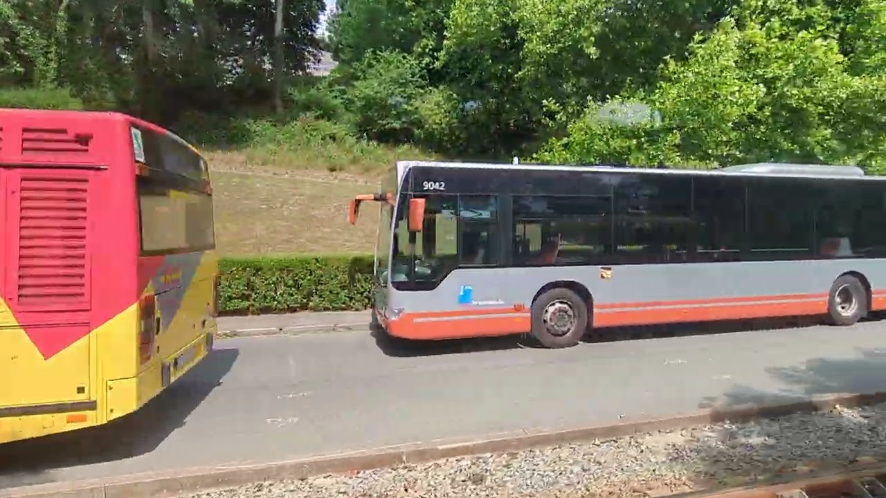 19 vintage buses @museedutram-trammuseum.bru9862 100th anniversary 1st regular bus route Brussels