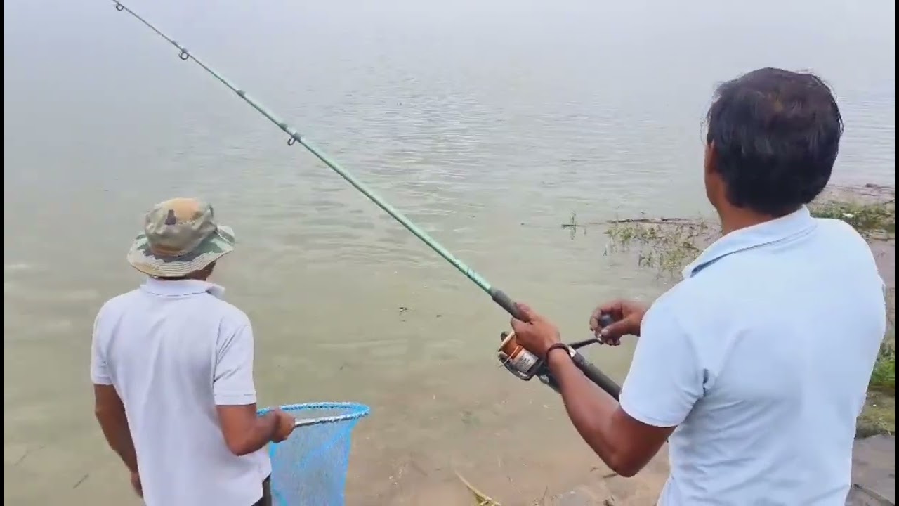 Today's catching 9kg carp fish🎣 #fishing #chandigarhlake #fish #sukhnalake #trending #viralvideo 