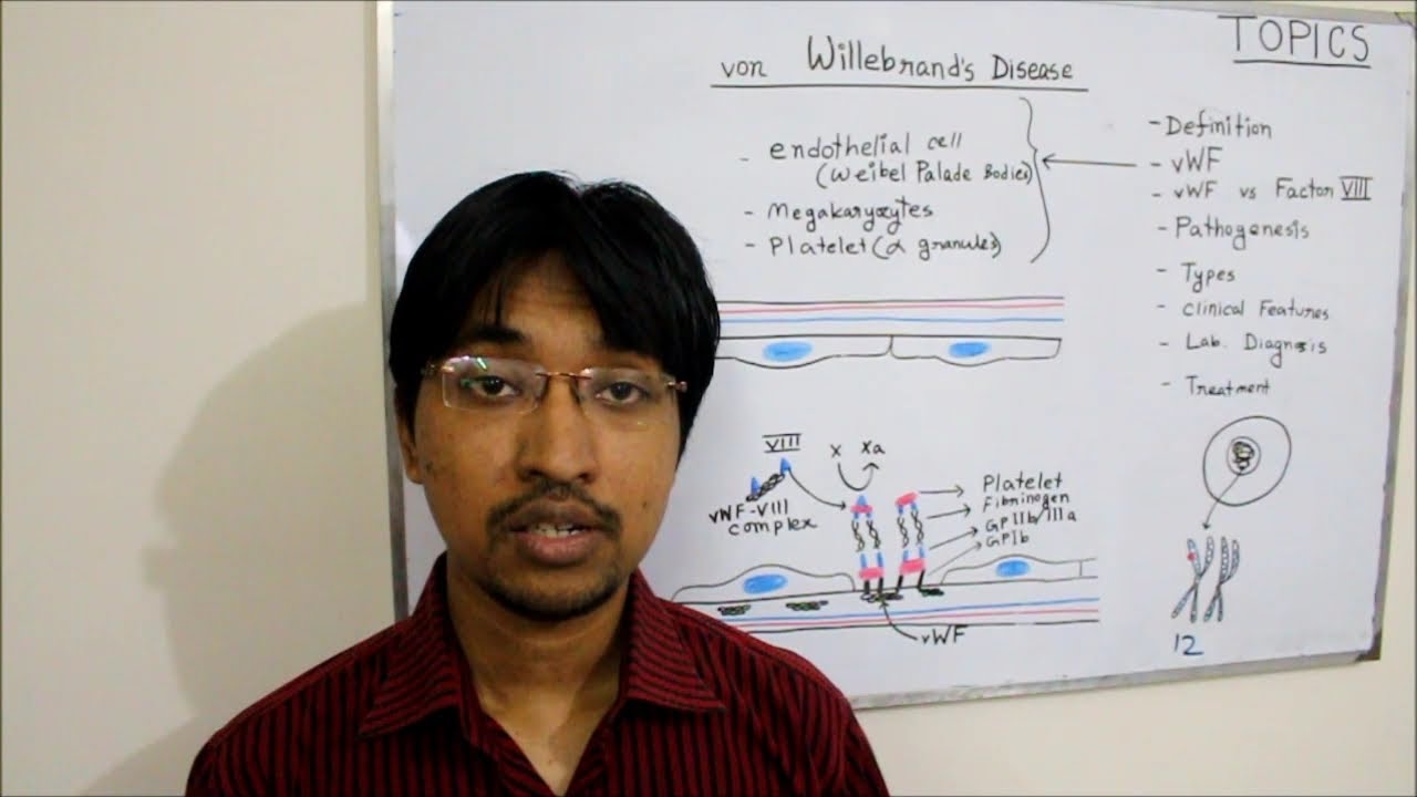 von Willebrand's Disease (HD)