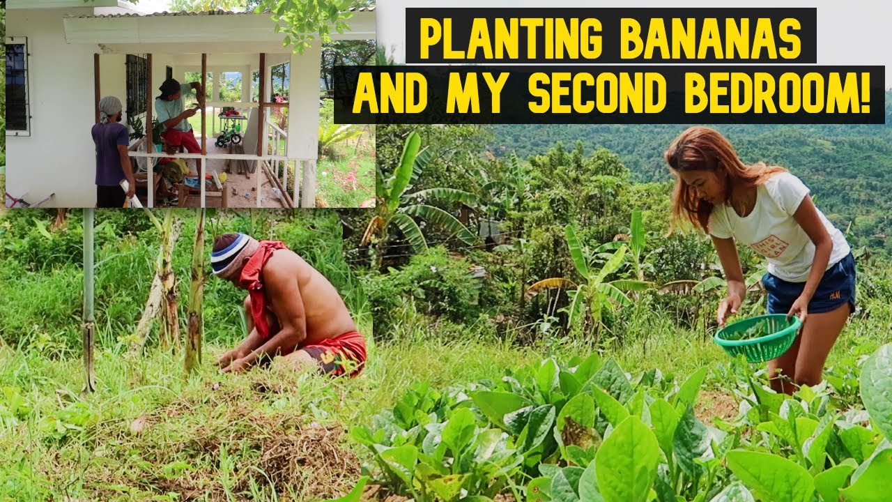 Countryside Diaries | Farming With Papa And My Second Bedroom - Cebu Philippines