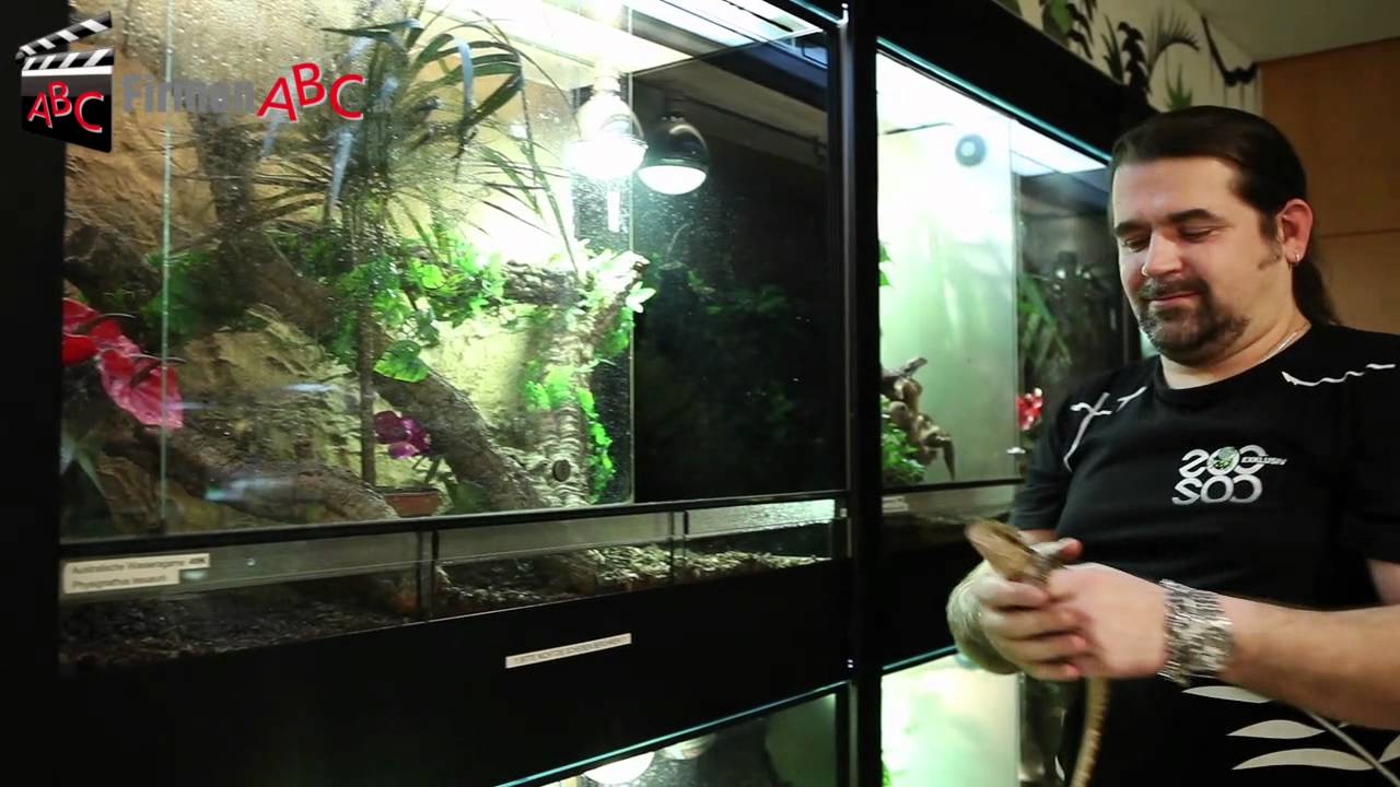 Tierhandlung Zoo Exklusiv GmbH in Langenlois bei Krems - Zoohandlung, Aquaristik, Terraristik