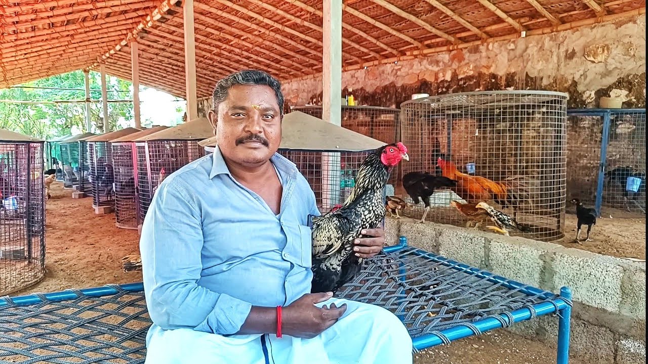 Gowtham Babu sevals Kodumudi || sevals @SakthiFarms #vlog