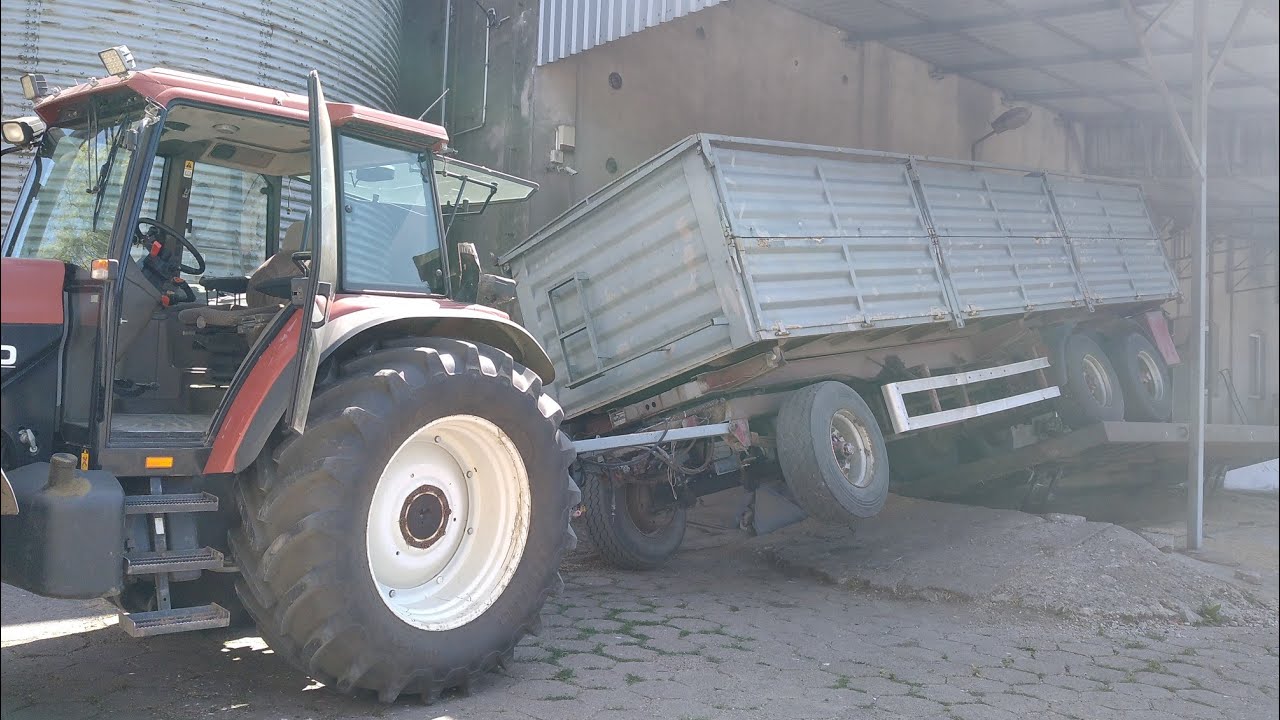 Bizon gigant Żniwa po Gradobiciu... Przestroga dla Rolników.....