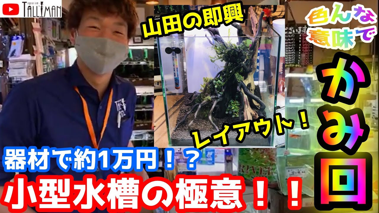 小型水槽の極意！トールマンTV!!