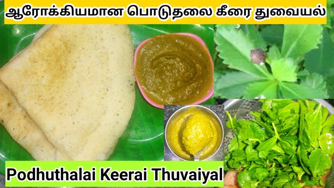ஆரோக்கியமான பொடுதலை கீரை துவையல்|பொடுதலை துவையல்|Podhuthalai Keerai Thuvaiyal|Goutheesh samayal