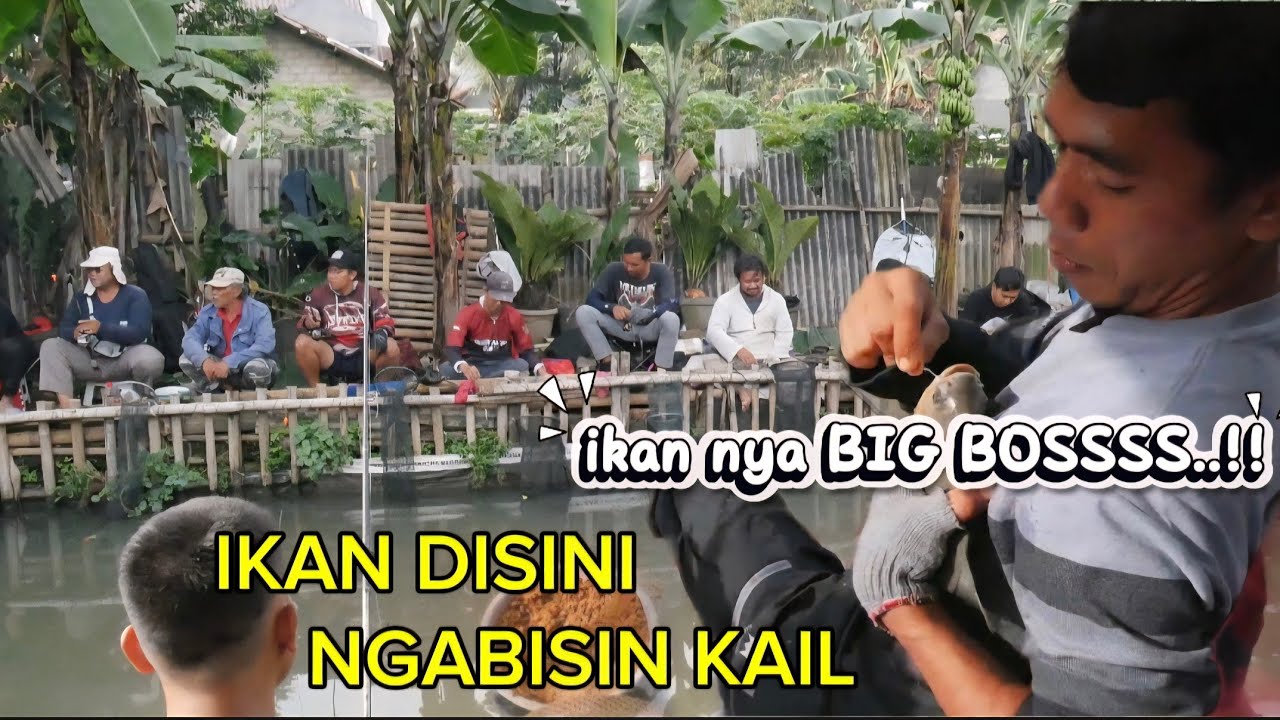 BORONGAN IKAN DISINI NGABISIN MATA KAIL ‼️ MANCING BORONGAN BAWAL DAN NILA