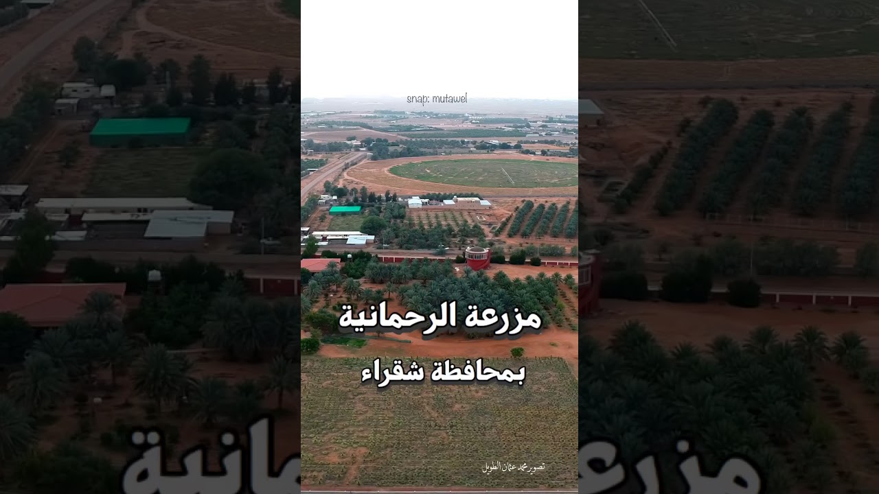 مزرعة الاعلامية هيفاء سليمان