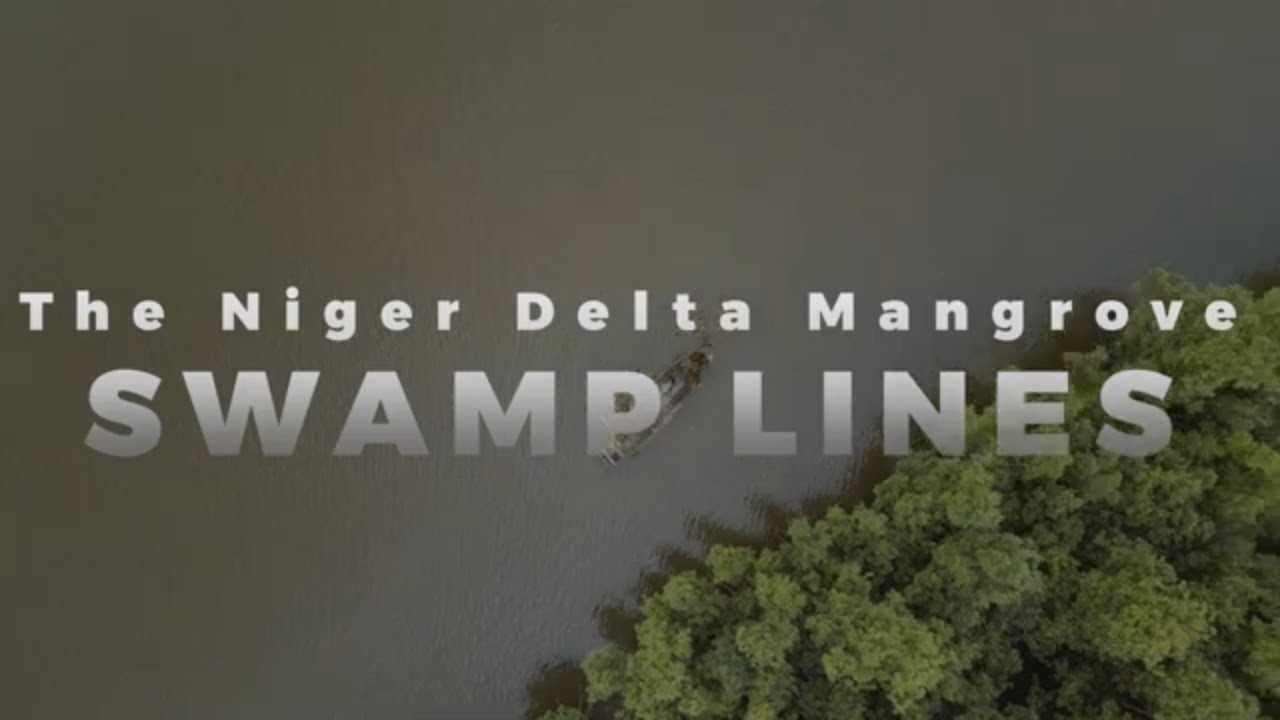 The Niger Delta Mangrove Swamp Lines: A Mysterious Phenomenon