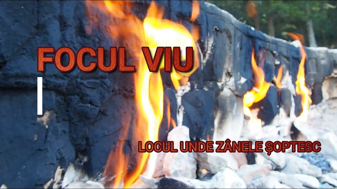 FOCUL VIU - ANDREIAȘUL DE JOS