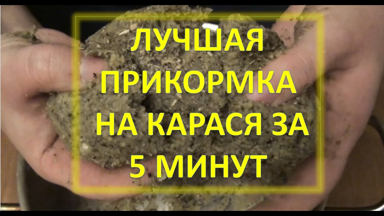 Как сделать прикормку на Карася за 5 минут. Прикормка для убийцы карася! С рыбой 100%!