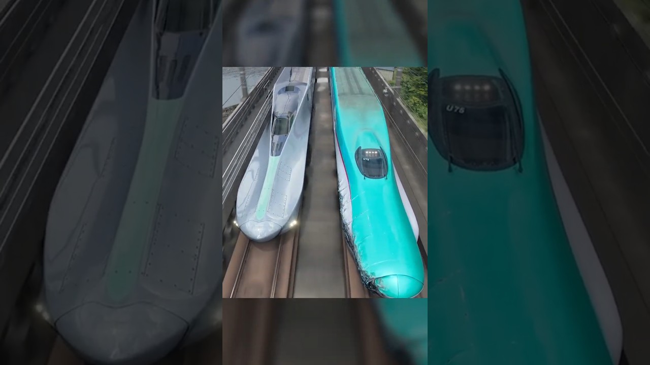 How a Bird Fixed Bullet Train?