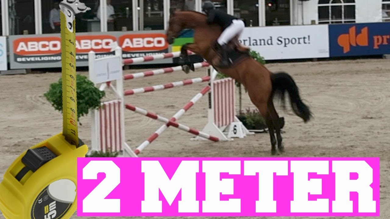 KAN EEN PAARD ZO HOOG SPRINGEN ? | Showjumping Outdoor Gelderland | Paardrijden met Plezier