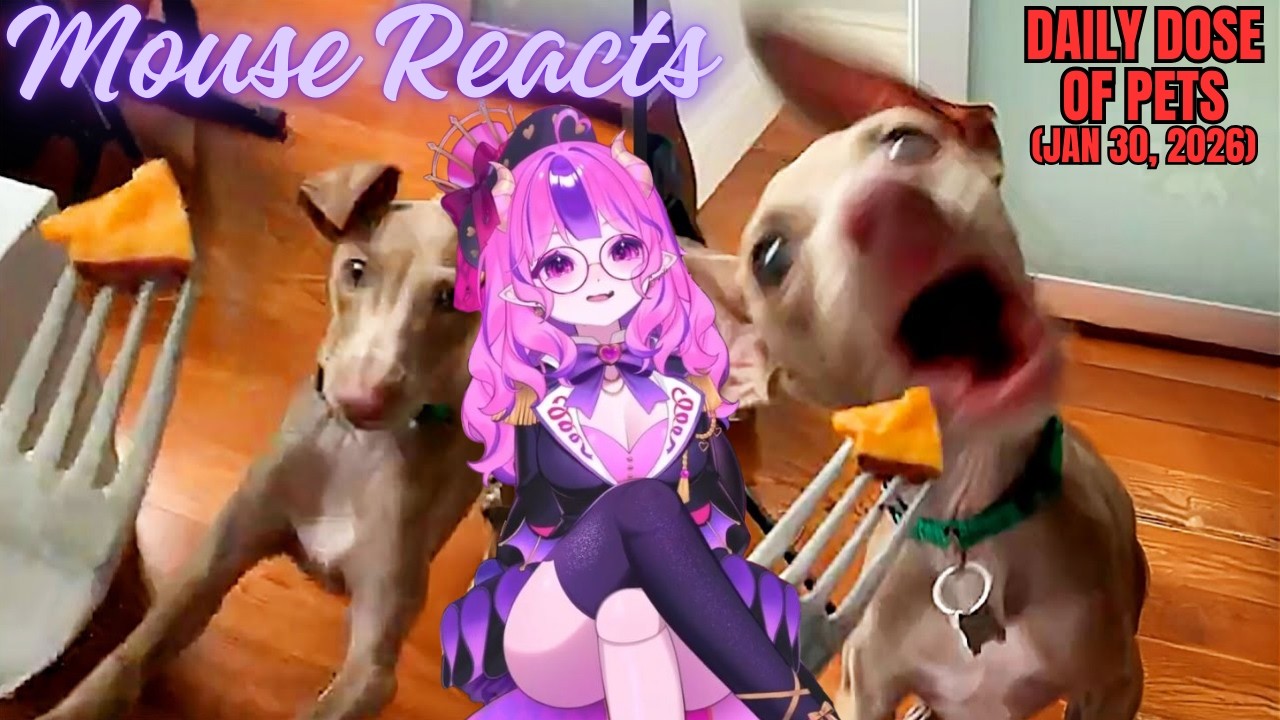 Mouse Reacts to Daily Dose of Pets: The Most Dramatic Dog (Jan 30, 2026)