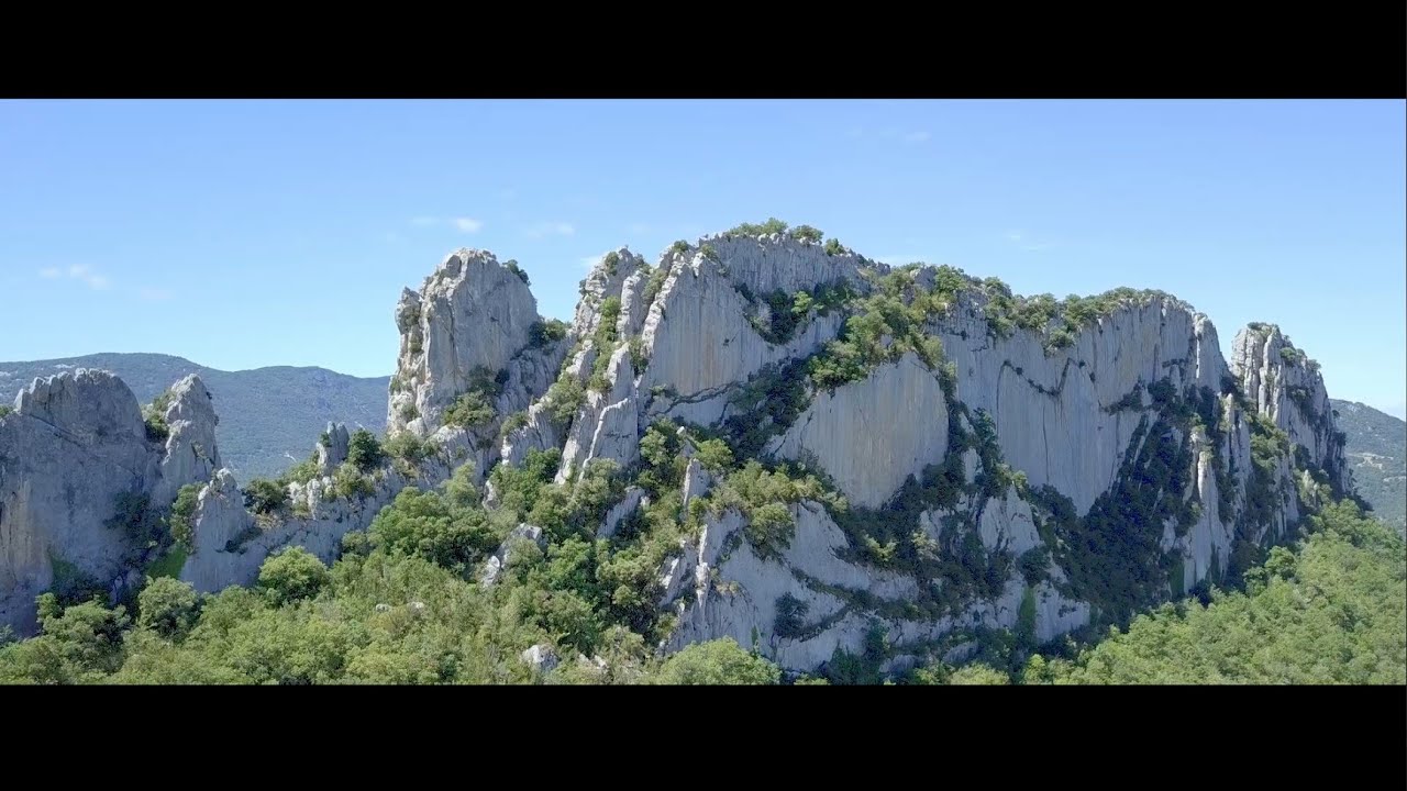 BUIS Les BARONNIES - 2020