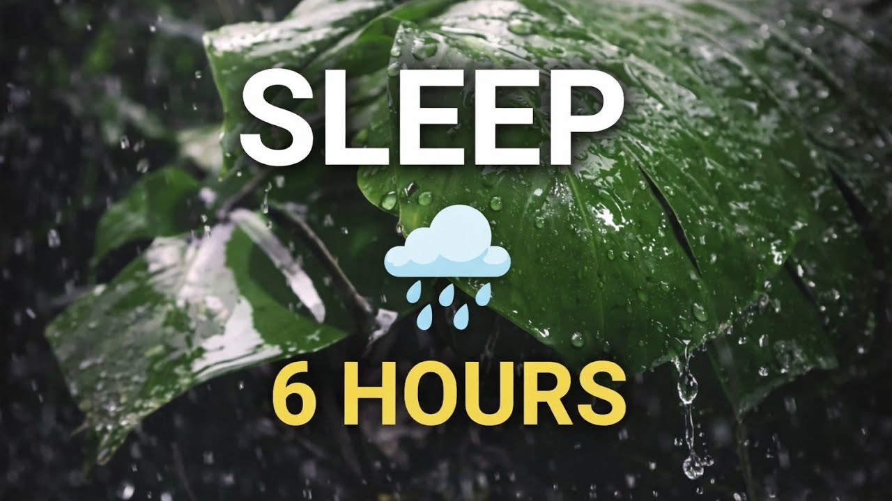 Deep Sleep Rainforest Rain 🌧️ 6 HOURS | Jungle Night Ambience, Stress Relief, NO ADS