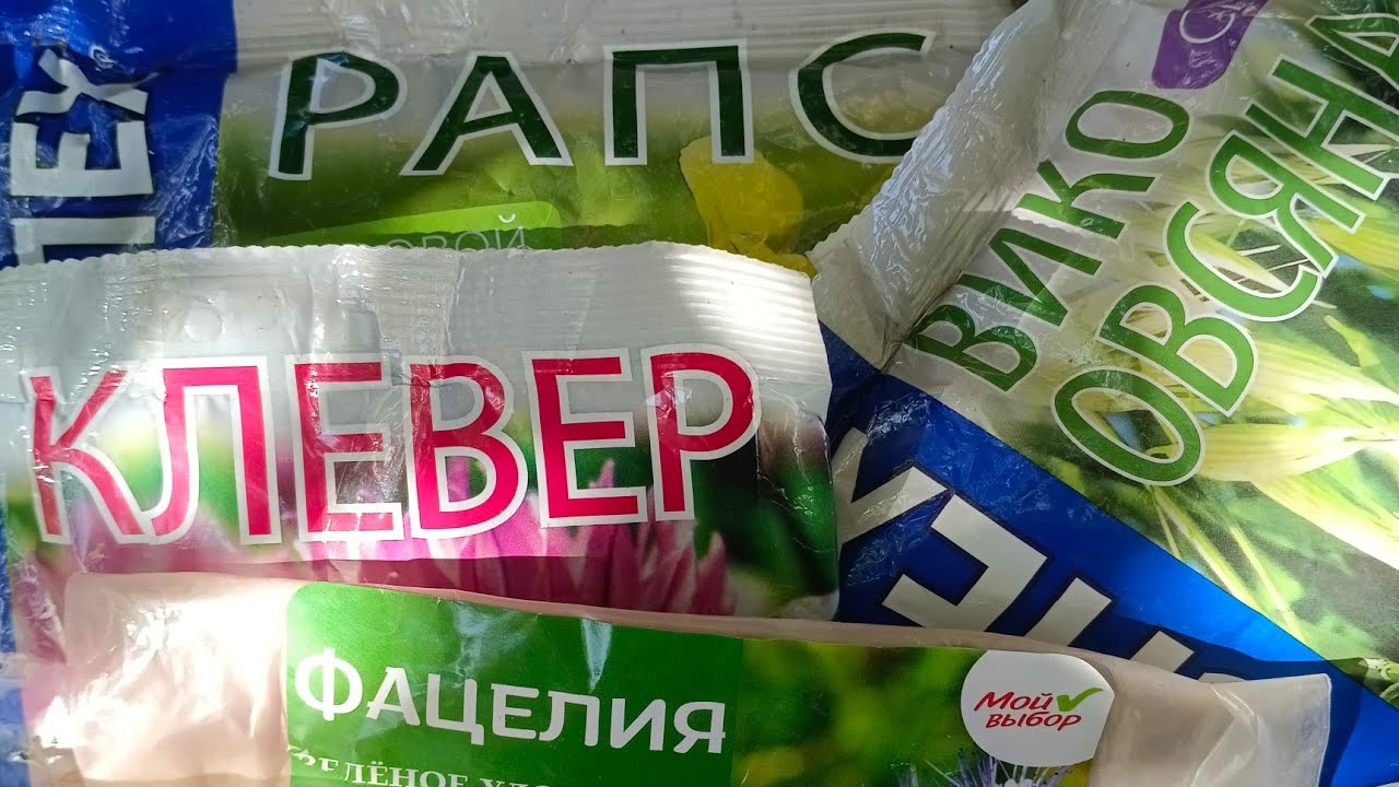 Сидерат өсіру. Сидерат түрлері. Топырақ тыңайту. Фацелия егу. Клевер егу. Сұлы егу