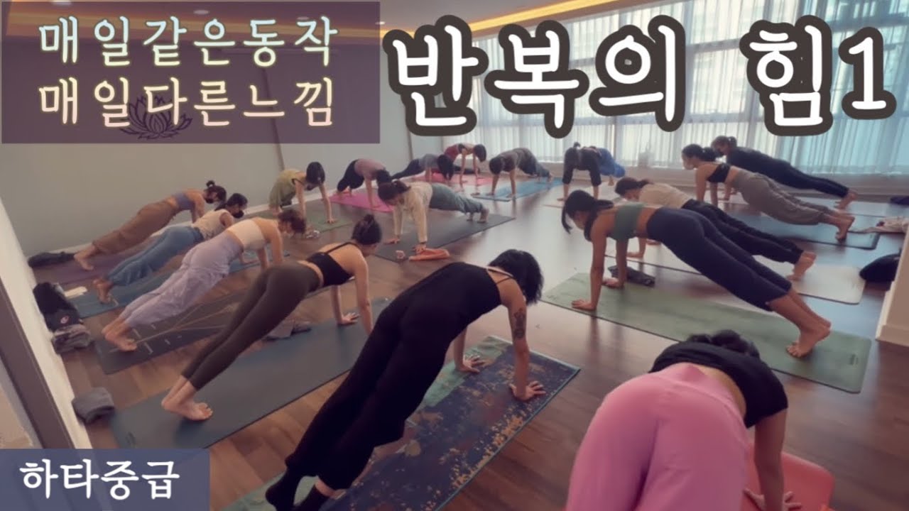 [엔젤요가] 반복의 힘1 | 매일 같은 동작 매일 다른느낌 | 요가수업영상 | 모닝요가 | 데일리요가 | 홈요가 | yoga | home yoga