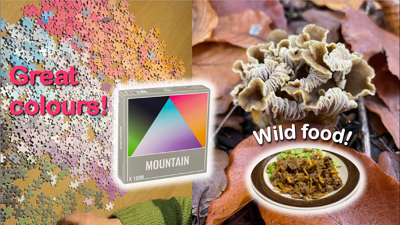 A Cloudberries puzzle! And cooking winter chantarelles